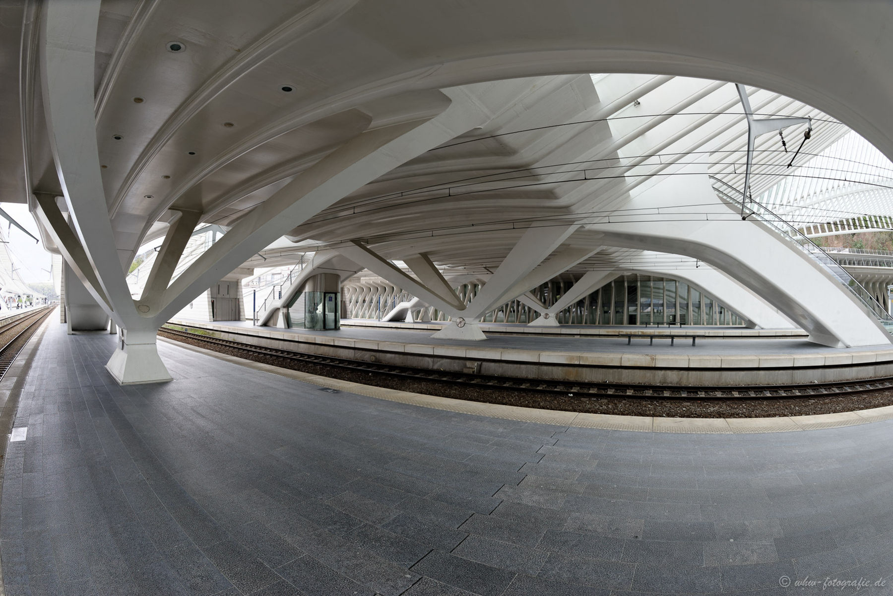 RR_D8H_3101_1_DxO_2MPx_2Mpx